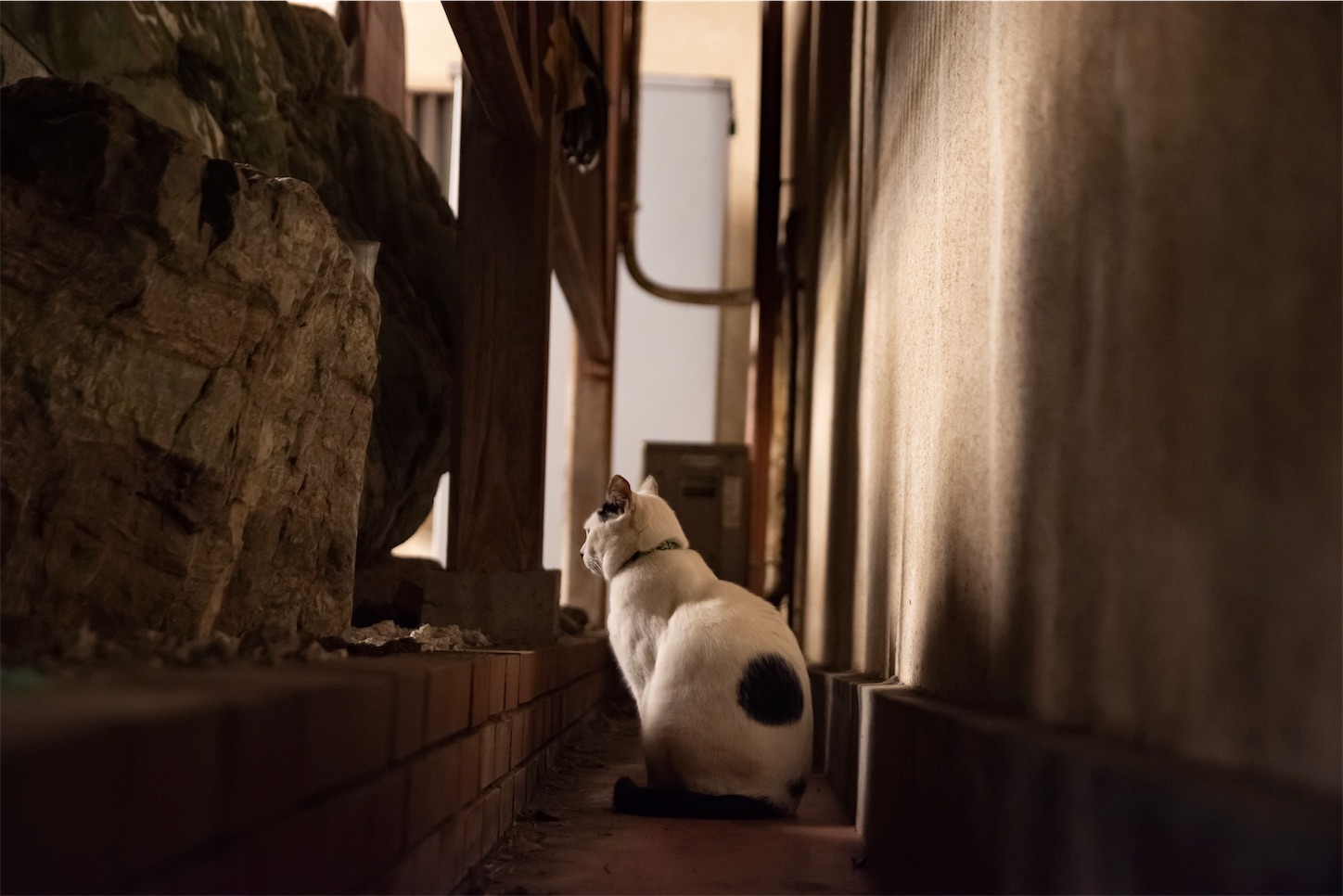 f:id:shiofilm:20181114113733j:image f:id:shiofilm:20181114113733j:image