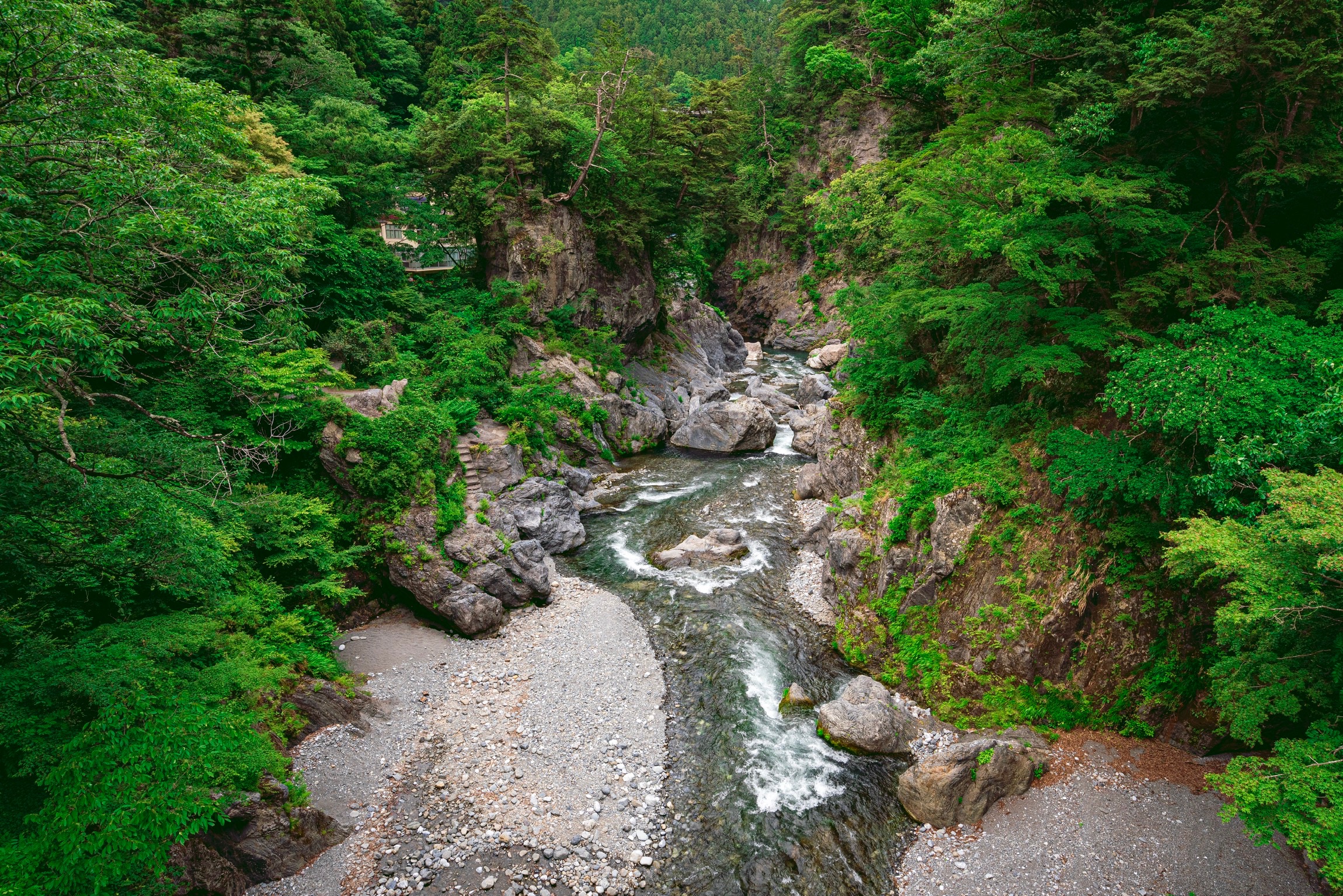 https://cdn-ak.f.st-hatena.com/images/fotolife/s/shiofilm/20191111/20191111201733_original.jpg