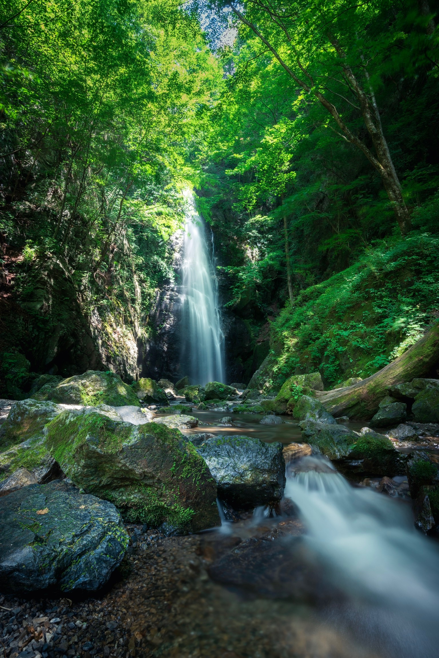 https://cdn-ak.f.st-hatena.com/images/fotolife/s/shiofilm/20191111/20191111201859_original.jpg