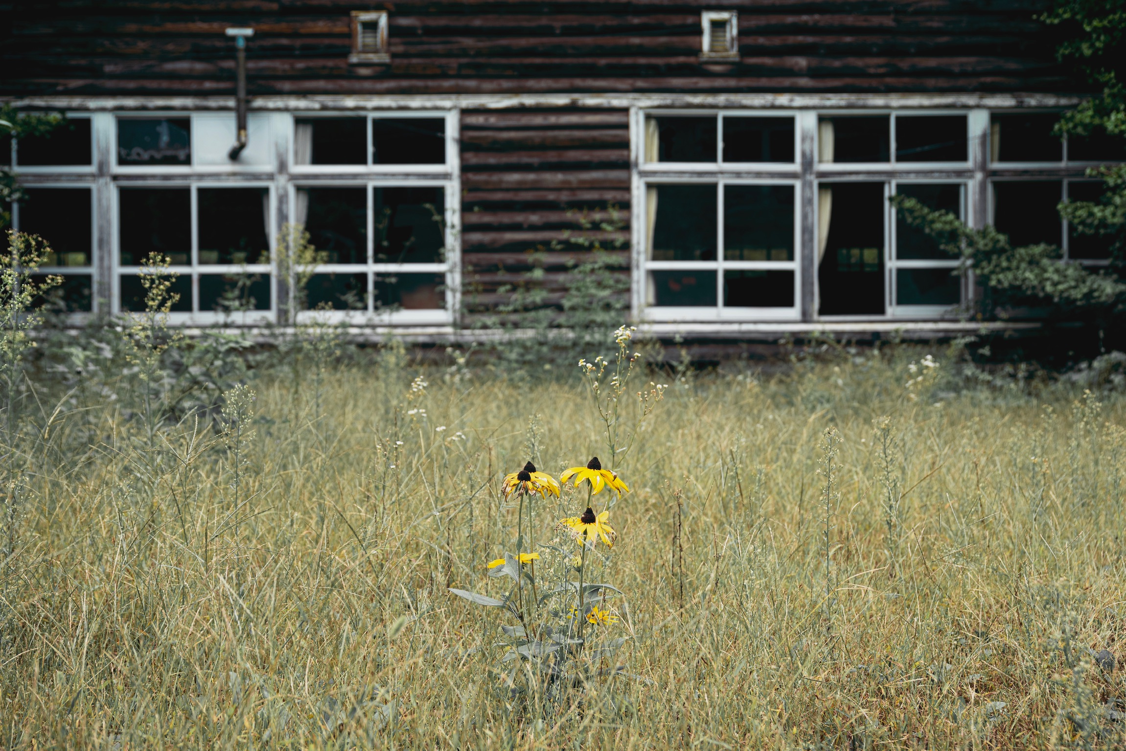 https://cdn-ak.f.st-hatena.com/images/fotolife/s/shiofilm/20191111/20191111202233_original.jpg