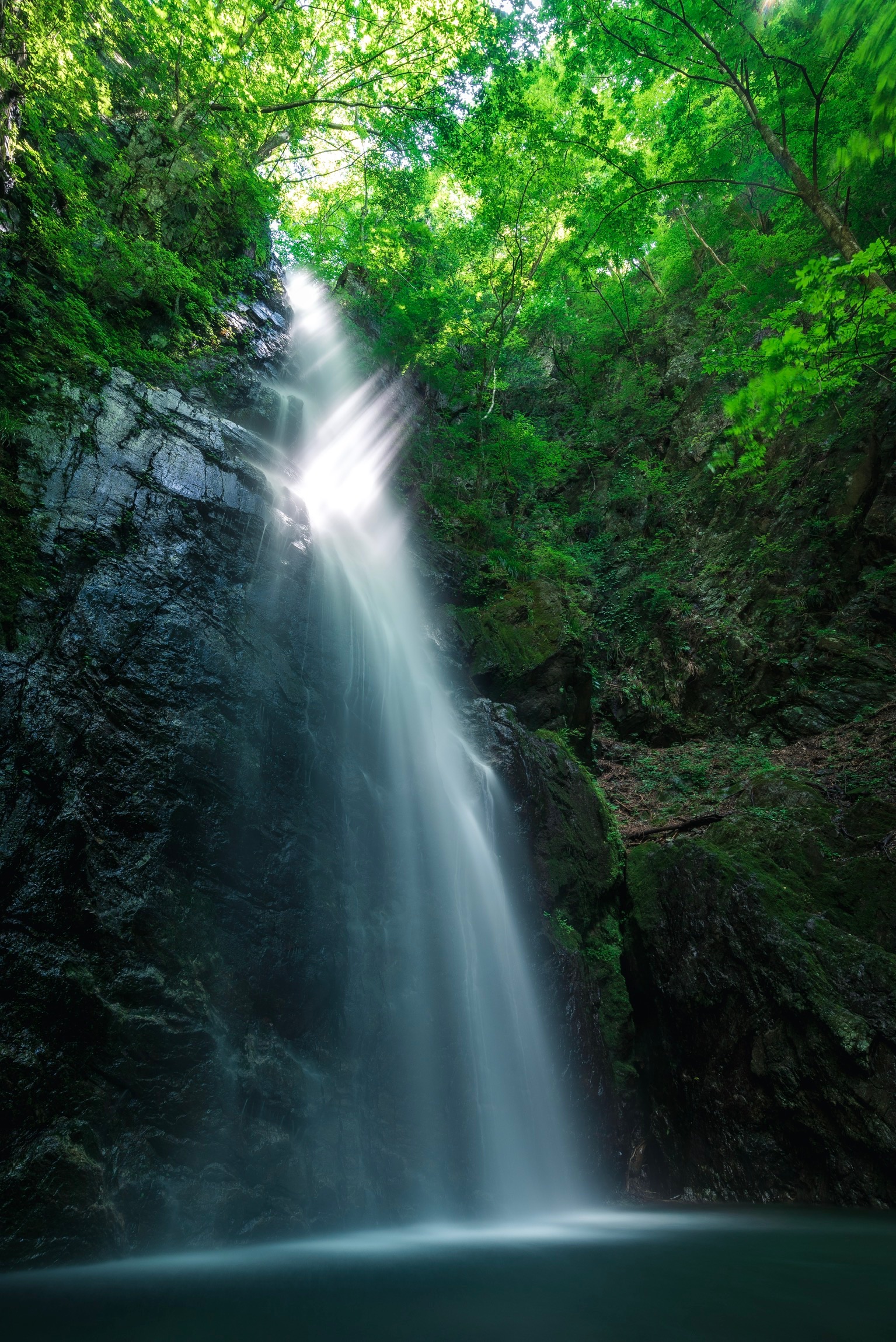https://cdn-ak.f.st-hatena.com/images/fotolife/s/shiofilm/20191111/20191111202314_original.jpg