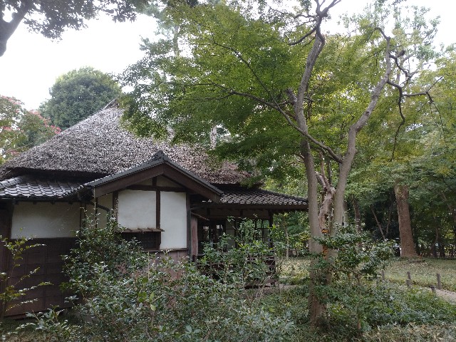 f:id:shiohitorinomi:20200923015831j:image