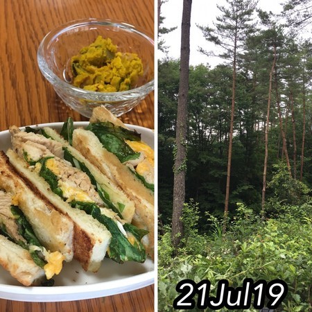 今日のごはん