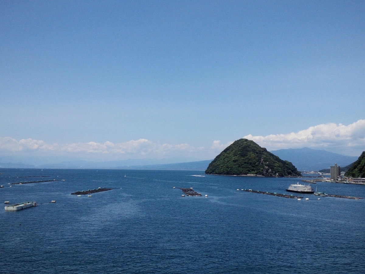 f:id:shiokon81:20200510223337j:plain