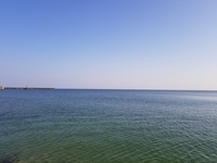 f:id:shion13:20190805150457j:plain f:id:shion13:20190805150457j:plain