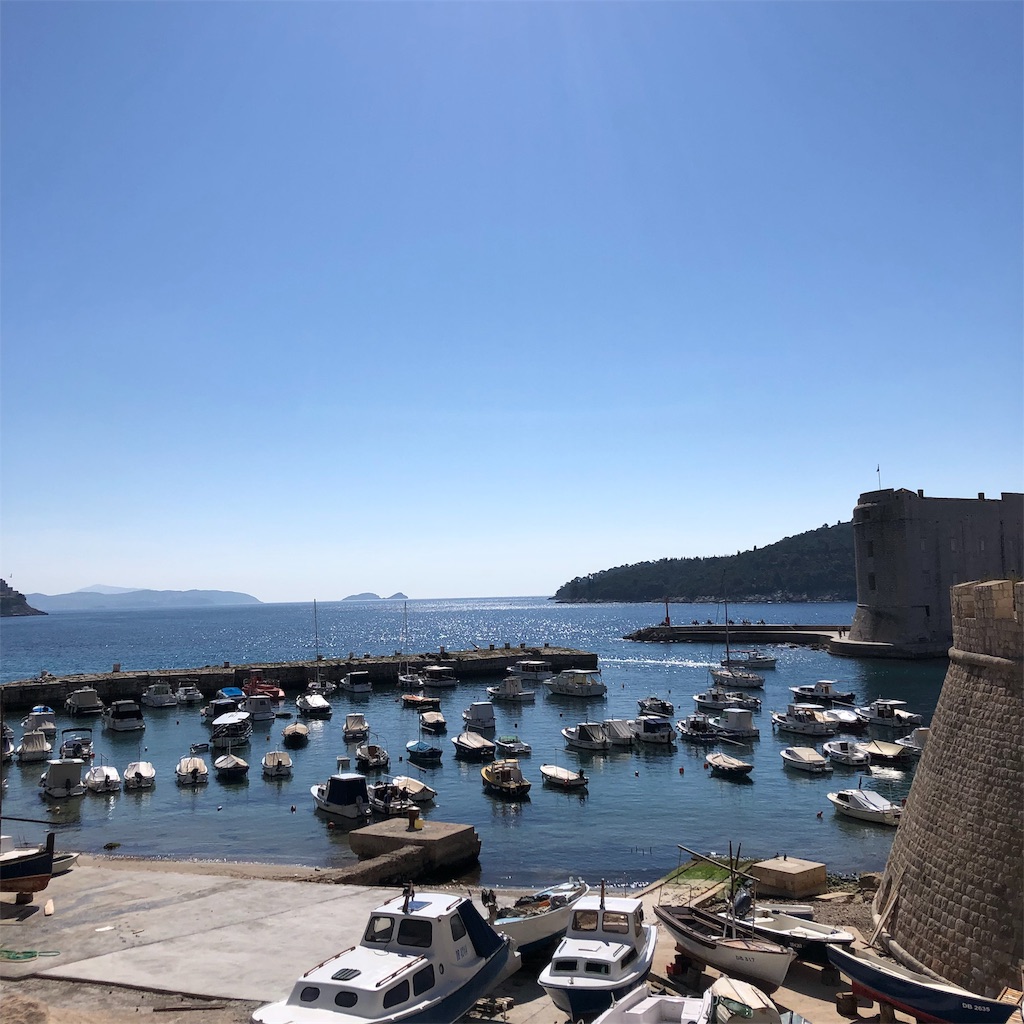 f:id:shion_houjouin0056A:20190404183446j:image f:id:shion_houjouin0056A:20190404183446j:image