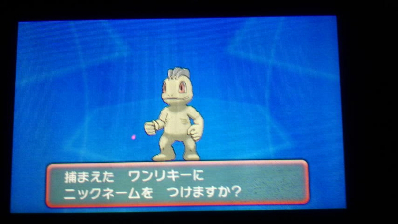 色違いフィーバー くさぶえがあたらない