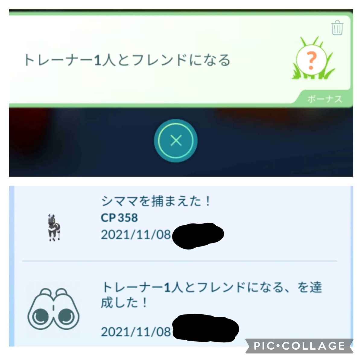 今日の成果 色違いシママ チコリータのくさぶえがあたらない