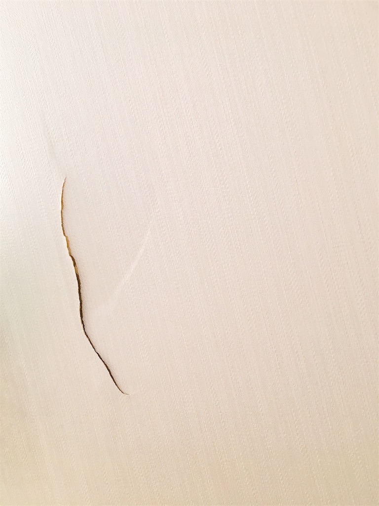 f:id:shion_ygo:20181029135205j:image f:id:shion_ygo:20181029135205j:image