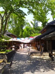 f:id:shioneri:20160618135600j:plain f:id:shioneri:20160618135600j:plain