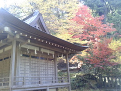 f:id:shioneri:20171126114801j:plain f:id:shioneri:20171126114801j:plain