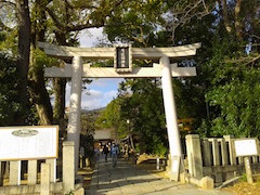 f:id:shioneri:20181215143200j:plain f:id:shioneri:20181215143200j:plain