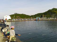 f:id:shioneri:20190505073300j:plain f:id:shioneri:20190505073300j:plain