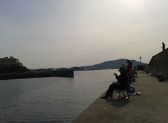 f:id:shioneri:20190505075100j:plain f:id:shioneri:20190505075100j:plain