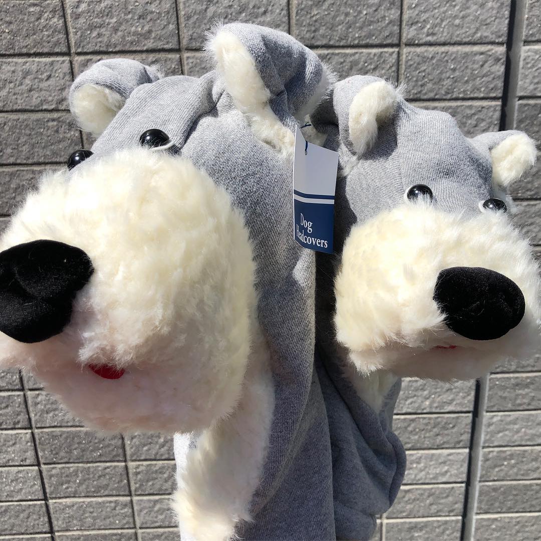 f:id:shionmurasaki:20190531153043j:plain f:id:shionmurasaki:20190531153043j:plain