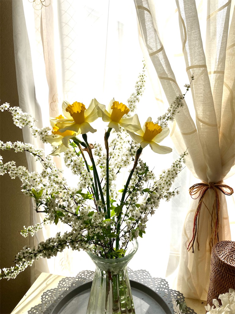 f:id:shioribloom55:20220401131552j:image f:id:shioribloom55:20220401131552j:image