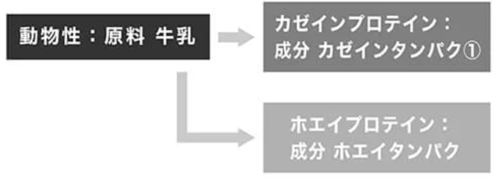 f:id:shioriin:20201027173709p:plain