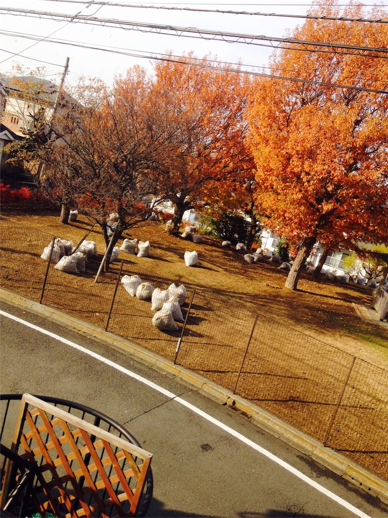 f:id:shioriito-pf:20161211033432j:image f:id:shioriito-pf:20161211033432j:image