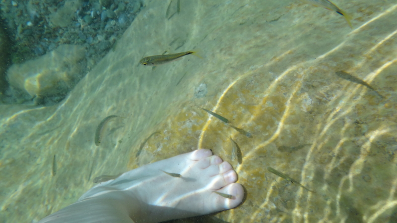 f:id:shioringo83:20121120025446j:image f:id:shioringo83:20121120025446j:image