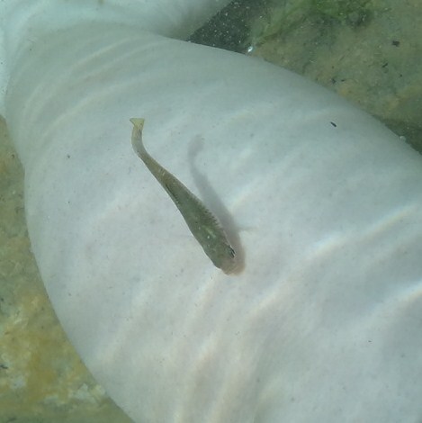 f:id:shioringo83:20121120033908j:image f:id:shioringo83:20121120033908j:image
