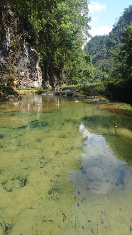 f:id:shioringo83:20121120035939j:image f:id:shioringo83:20121120035939j:image