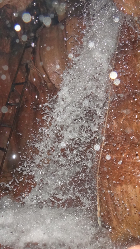 f:id:shioringo83:20121120060809j:image f:id:shioringo83:20121120060809j:image