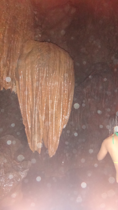 f:id:shioringo83:20121120065908j:image f:id:shioringo83:20121120065908j:image