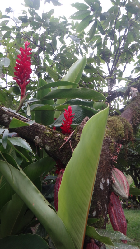 f:id:shioringo83:20121120073642j:image f:id:shioringo83:20121120073642j:image