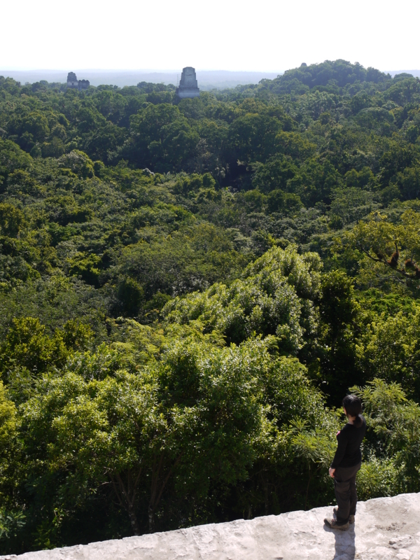 f:id:shioringo83:20121122234317j:image f:id:shioringo83:20121122234317j:image