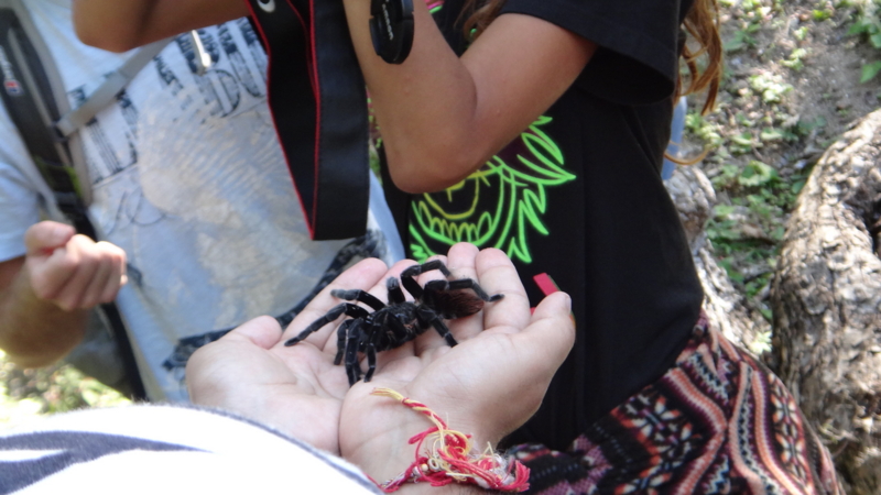 f:id:shioringo83:20121123011933j:image f:id:shioringo83:20121123011933j:image