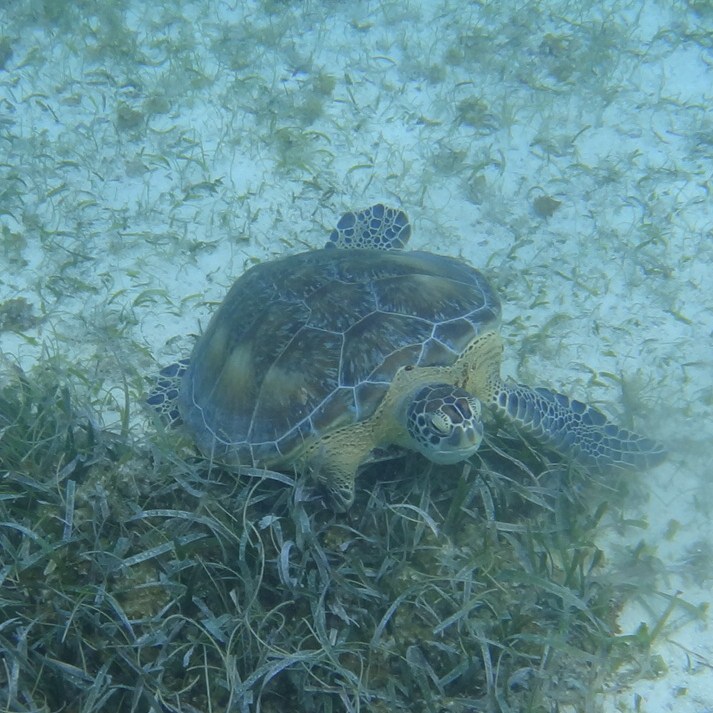 f:id:shioringo83:20121126031148j:image f:id:shioringo83:20121126031148j:image