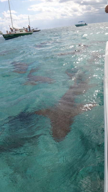 f:id:shioringo83:20121126033358j:image f:id:shioringo83:20121126033358j:image