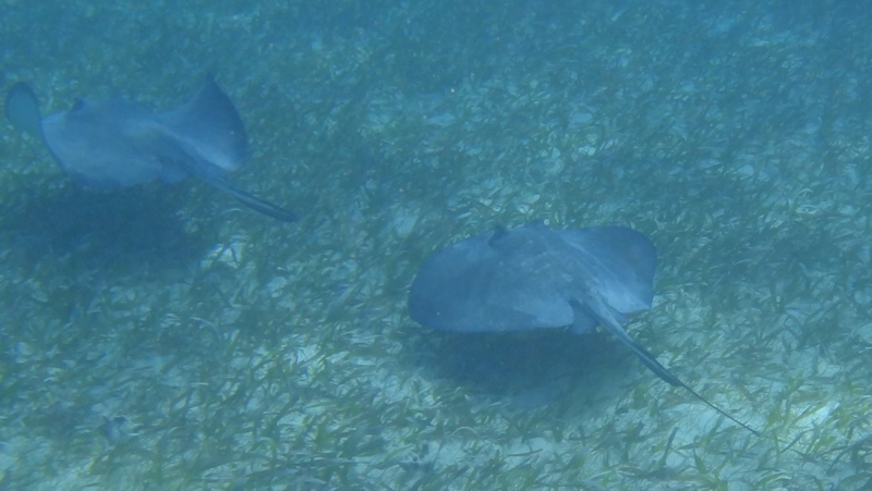 f:id:shioringo83:20121126035036j:image f:id:shioringo83:20121126035036j:image