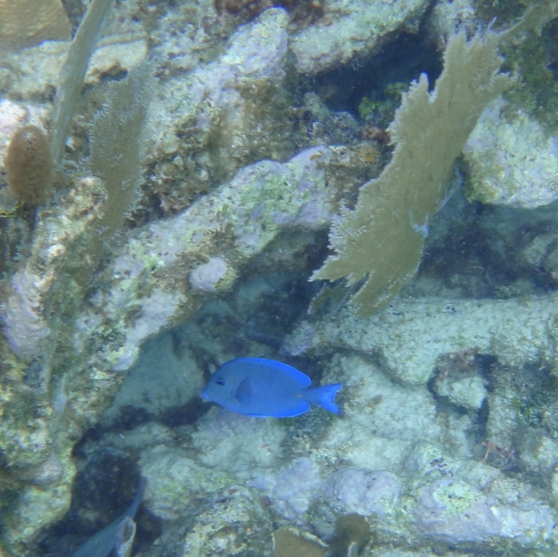 f:id:shioringo83:20121126054503j:image f:id:shioringo83:20121126054503j:image