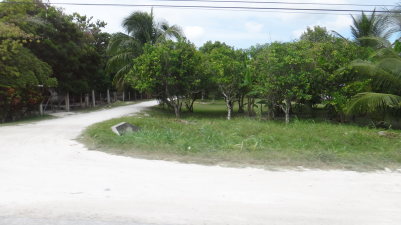 f:id:shioringo83:20121128013956j:image f:id:shioringo83:20121128013956j:image
