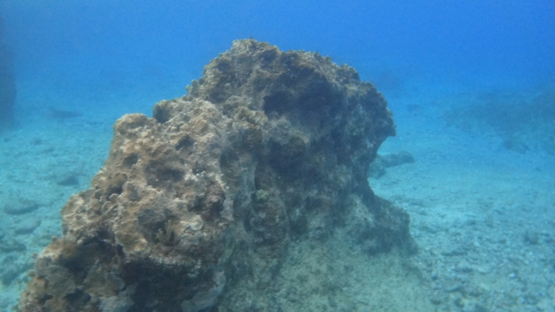 f:id:shioringo83:20121201075621j:image f:id:shioringo83:20121201075621j:image