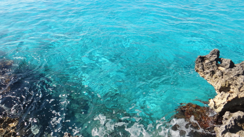 f:id:shioringo83:20121202040627j:image f:id:shioringo83:20121202040627j:image