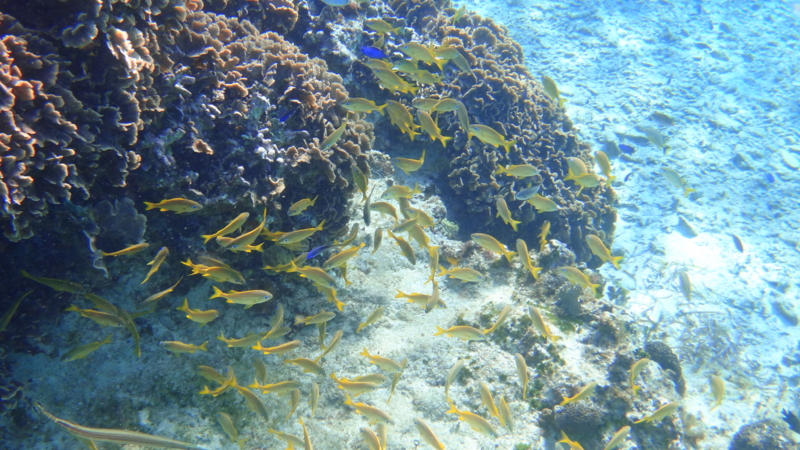 f:id:shioringo83:20121202051335j:image f:id:shioringo83:20121202051335j:image