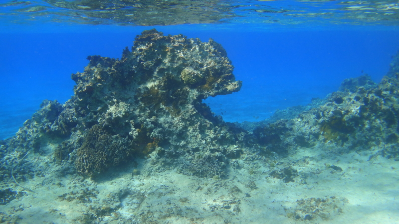 f:id:shioringo83:20121202051855j:image f:id:shioringo83:20121202051855j:image