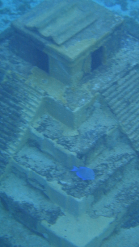 f:id:shioringo83:20121203065117j:image f:id:shioringo83:20121203065117j:image