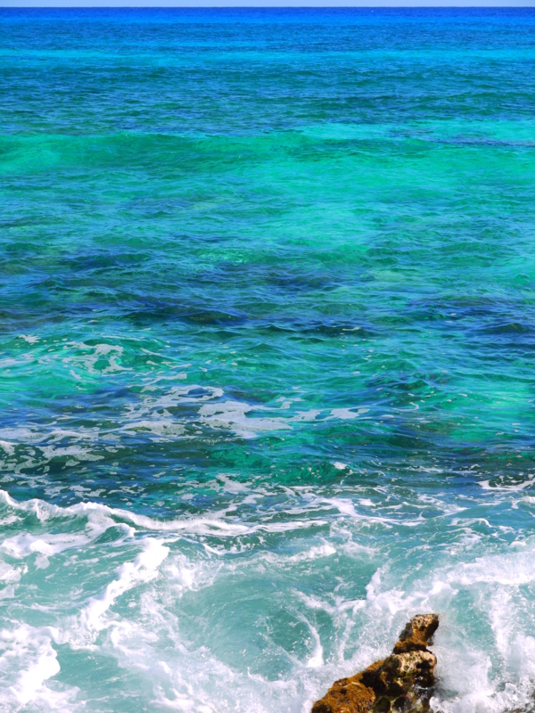 f:id:shioringo83:20121207041301j:image f:id:shioringo83:20121207041301j:image