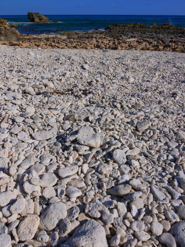 f:id:shioringo83:20121207053029j:image f:id:shioringo83:20121207053029j:image