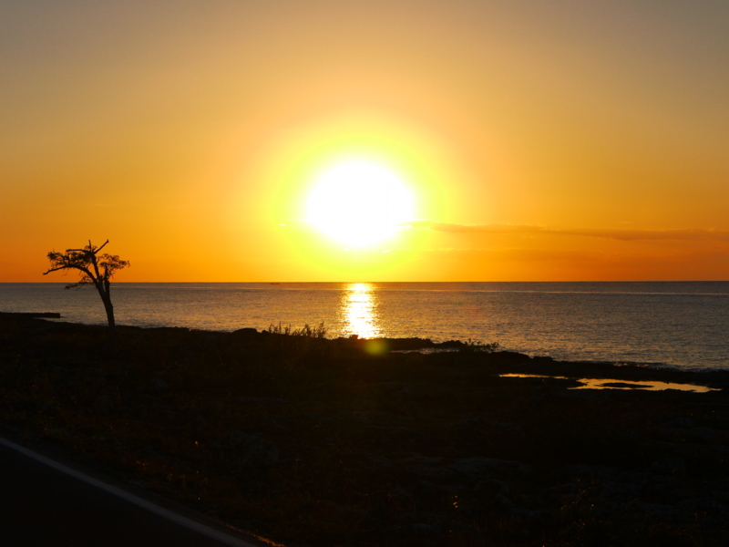 f:id:shioringo83:20121207075603j:image f:id:shioringo83:20121207075603j:image
