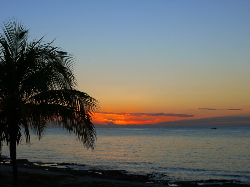 f:id:shioringo83:20121207080847j:image f:id:shioringo83:20121207080847j:image