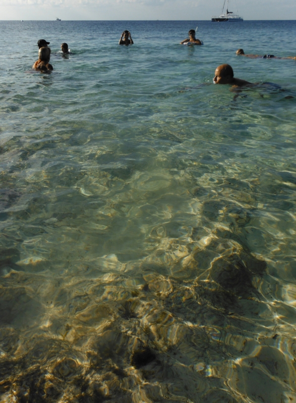 f:id:shioringo83:20121208060750j:image f:id:shioringo83:20121208060750j:image