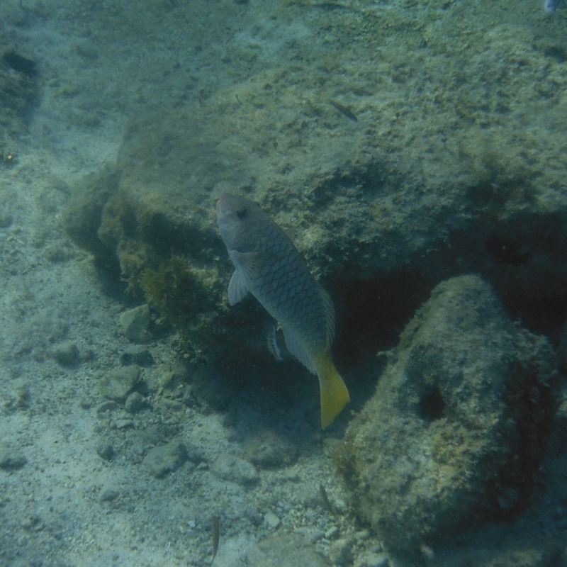 f:id:shioringo83:20121208061119j:image f:id:shioringo83:20121208061119j:image