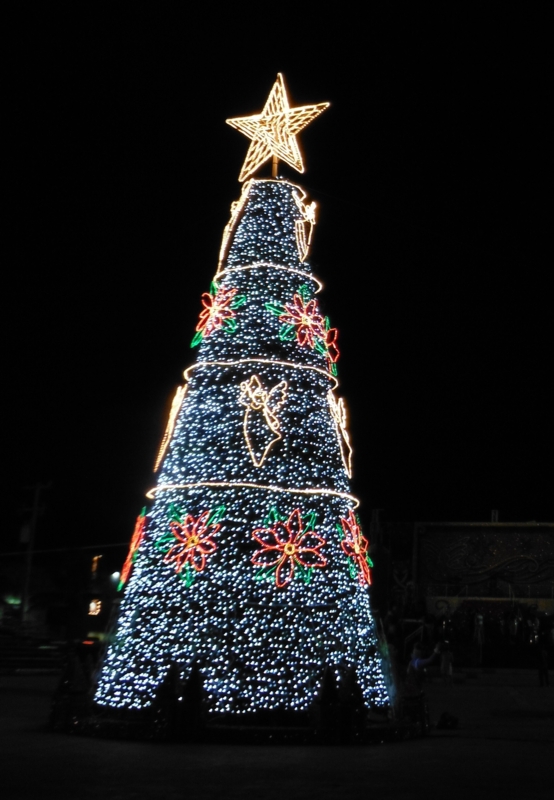 f:id:shioringo83:20121208085740j:image f:id:shioringo83:20121208085740j:image