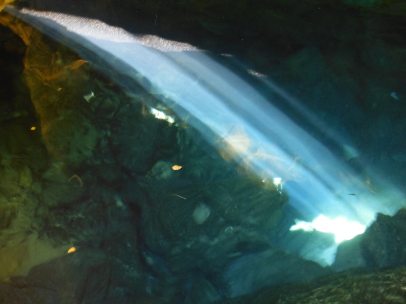 f:id:shioringo83:20121210013413j:image f:id:shioringo83:20121210013413j:image