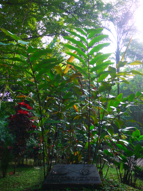 f:id:shioringo83:20121214002723j:image f:id:shioringo83:20121214002723j:image