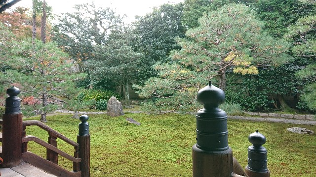 f:id:shioritz:20210226181028j:image